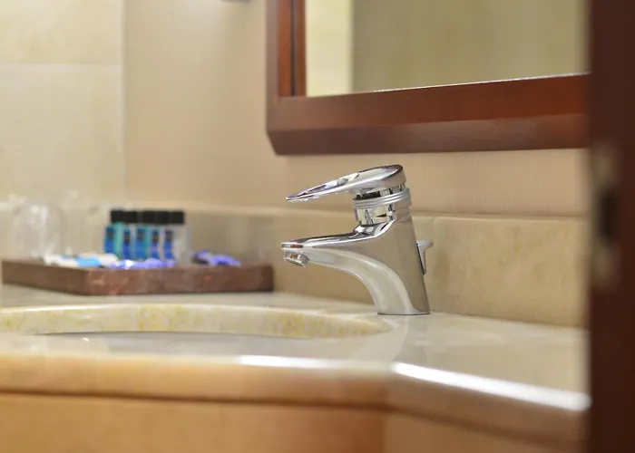 迷笛酒店 4* 安卡拉