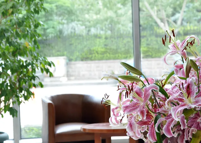 迷笛酒店 酒店 4*