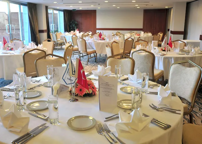 迷笛酒店 安卡拉